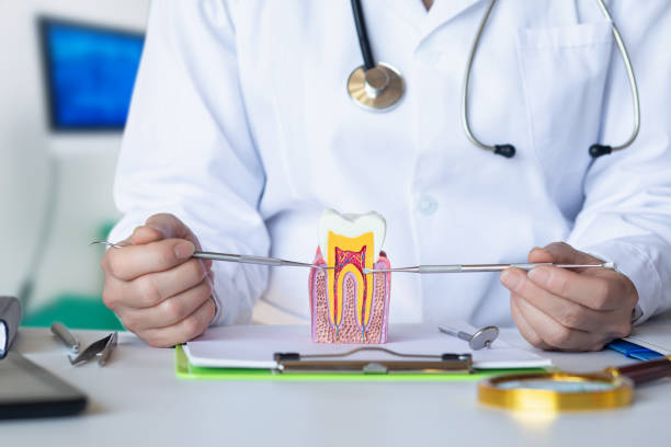 Best Emergency Wisdom Teeth Removal in Chackbay, LA
